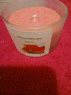 Fresh Fruit - Watermelon Candle
